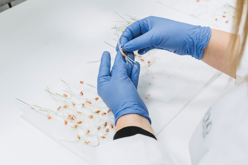 Frökontrollens labb och fröanalyser