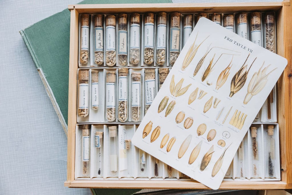 Frökontrollens fröprover