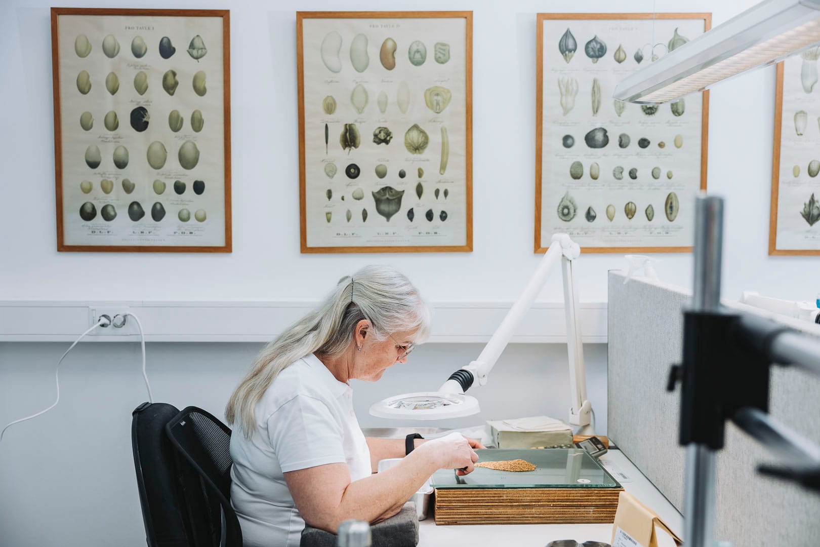 Medarbetare i frökontrollens labb.